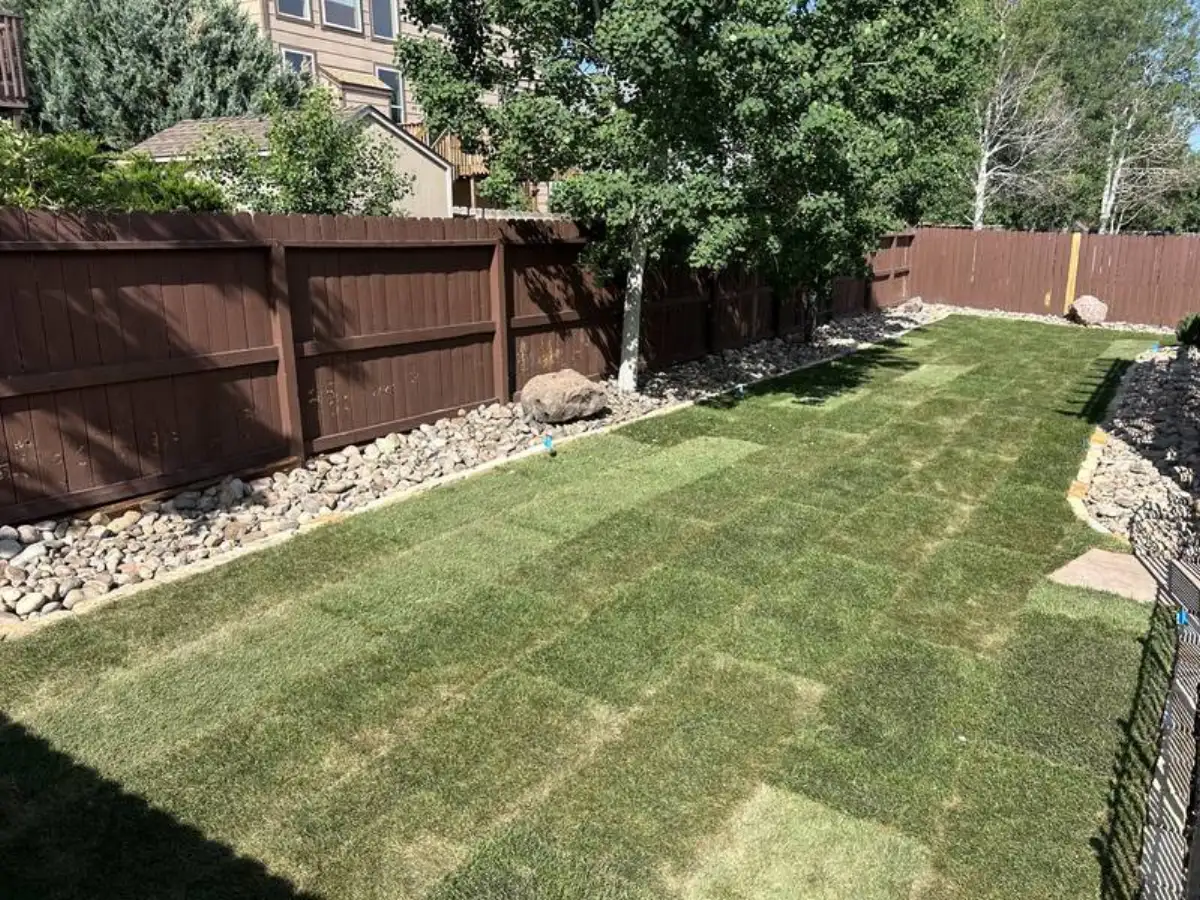 Healthy green lawn with landscaping maintained by CN Landscaping in Colorado Springs